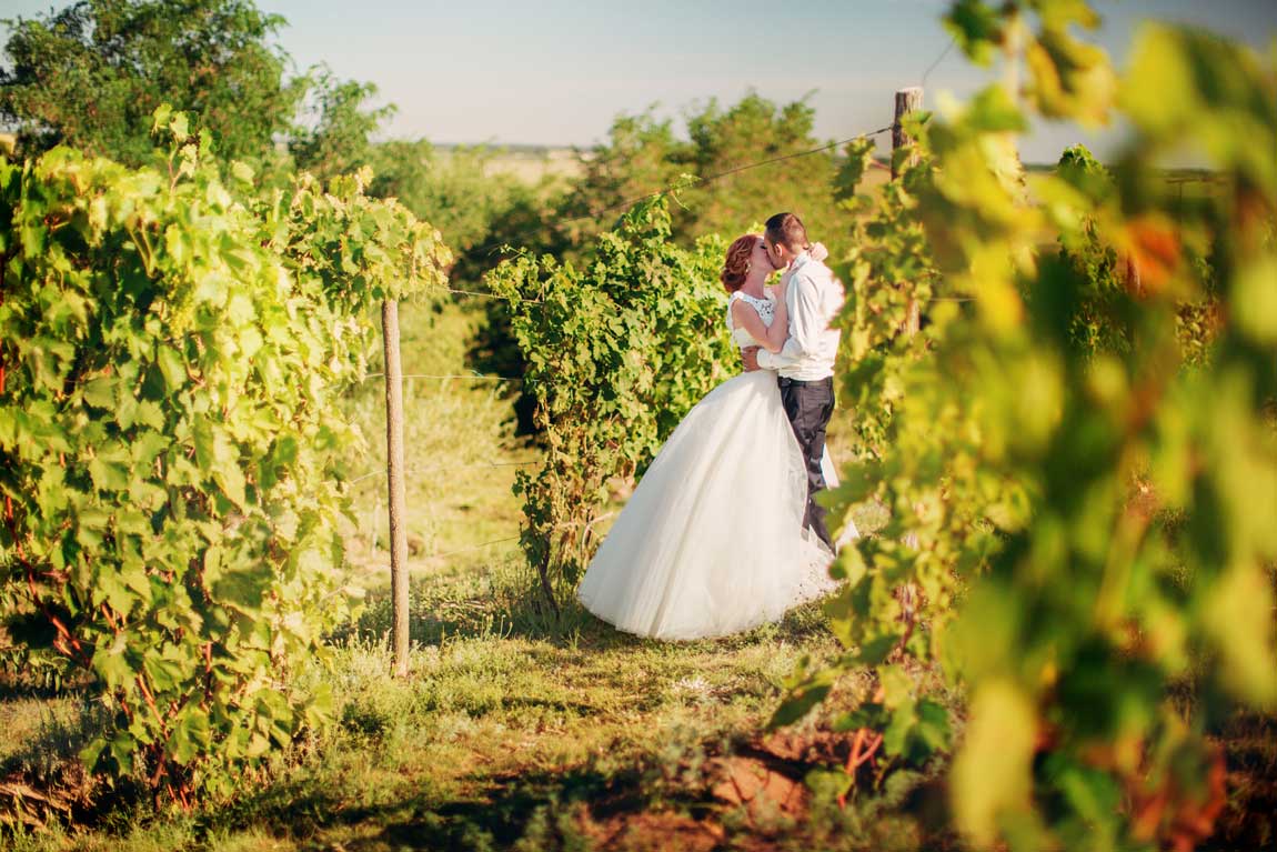 wedding in vineygard